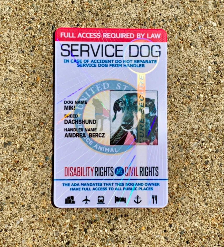 TARJETA DE IDENTIFICACIÓN DE PERRO DE SERVICIO CON REGISTRO - HOLOGRÁFICA Foto 2 de 4