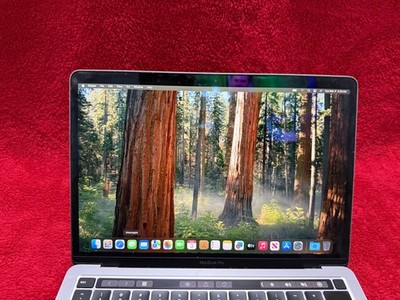 Apple MacBook Pro 13