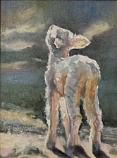 Delander Art , Original Oil Painting “Baby Lamb” Canvas Signed Framed 12x9