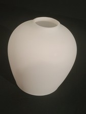 Frosted Glass Globe Lamp Shade Pendant Lights Cover Ceiling Cover
