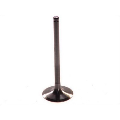   PARADOWSCY INTAKE VALVE PREN001 NEW DE STOCK