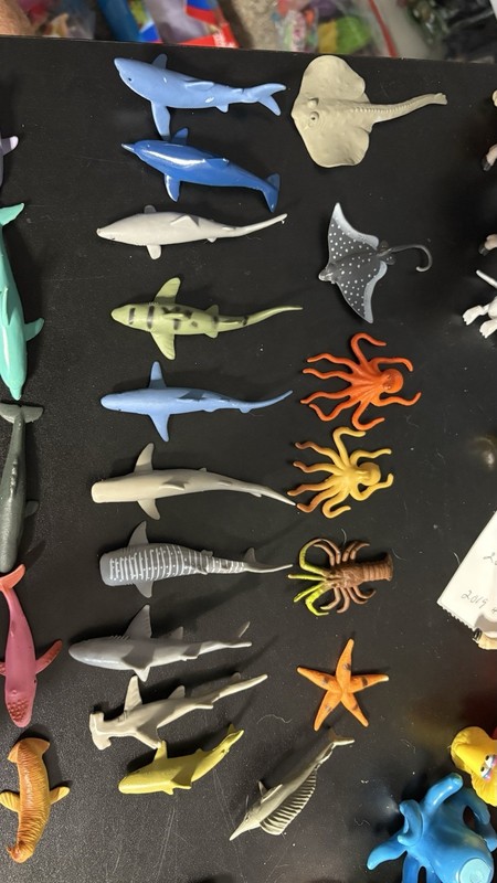 22- Sharks,Whales,Dolphins,Squid,and more!!!!