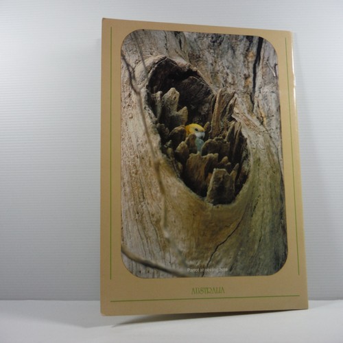 Nature on the Shipwreck Coast Victoria photographs by Avis Quarrell 1994 PB - Picture 8 of 13