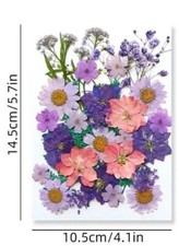 34 pieces DIY for Jewelry Making Decors Real Dried Press Flowers Candle Craft