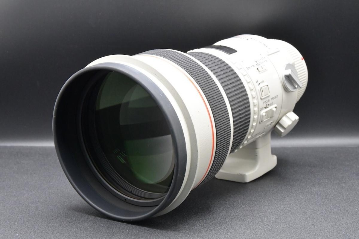 Canon EF 300mm f2.8 L USM キャノン望遠 Canon EF 300mm f/2.8L IS II