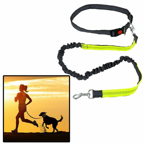 Correa de Cintura para Perros Correr con Cinturón Cintura Paseo |