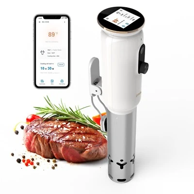 INKBIRD 1000W WiFi Sous Vide Stick ISV-101W Controllo App Preallarme APP C/F Timer