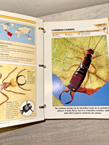 Wildlife Fact File - Picture 13 of 16