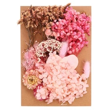 Pressed Flowers Bulk Dried Flowers Natural Pressed Flowers Leaves Various Color