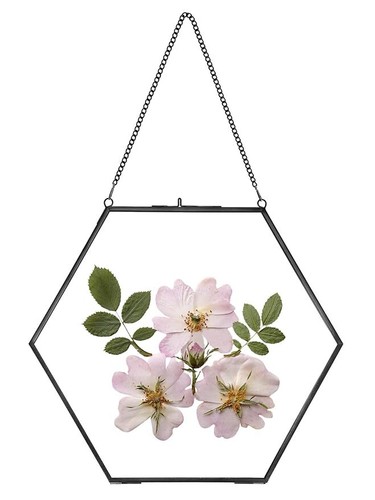 REDHUGO Messing Hängerahmen, rund, 10", für gepresste Blumen UVP 23 £