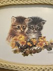 Foto 3 di 7