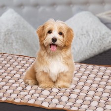 Polka Dot Print Fleece Pet Blanket, 30x42 Inches, 3 Piece, Coffee