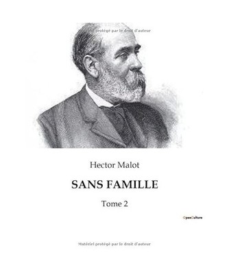 SANS FAMILLE: Tome 2, Malot, Hector