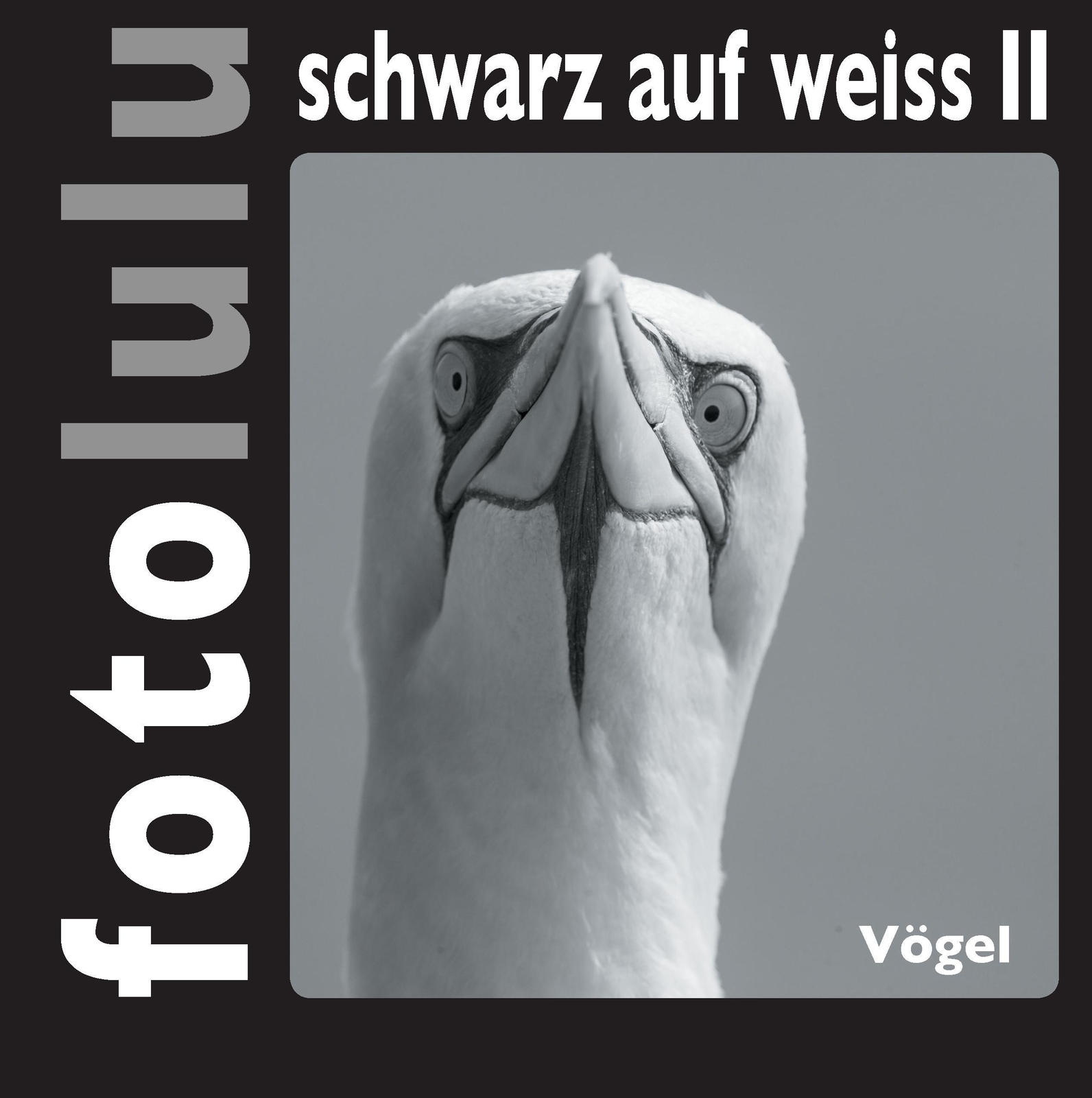 Thumbnail - Fotolulu | Fotolulu Schwarz Auf Weiss Ii | Buch | Deutsch (2015) |