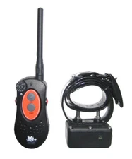 DT Systems H2O 1 Mile Remote Trainer with Vibration H2O-1820
