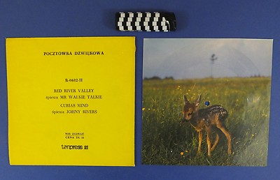 R-0682 MR.WALKIE TALKIE Red River Valley Drafi Deutscher / JOHNNY RIVERS Curious
