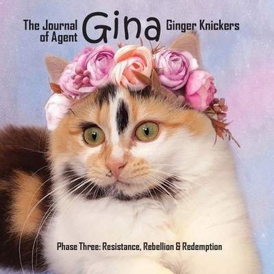 Linda Deane The Journal of Agent Gina Ginger Knickers Phase Three (Taschenbuch)