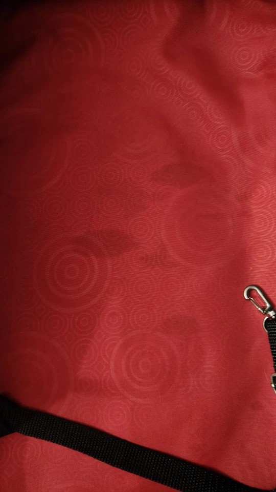 Regal Plus Lightweight 4 Wheel Foldable Dog Pet Stroller Raspberry Sorbet Pink - Image 4 of 4