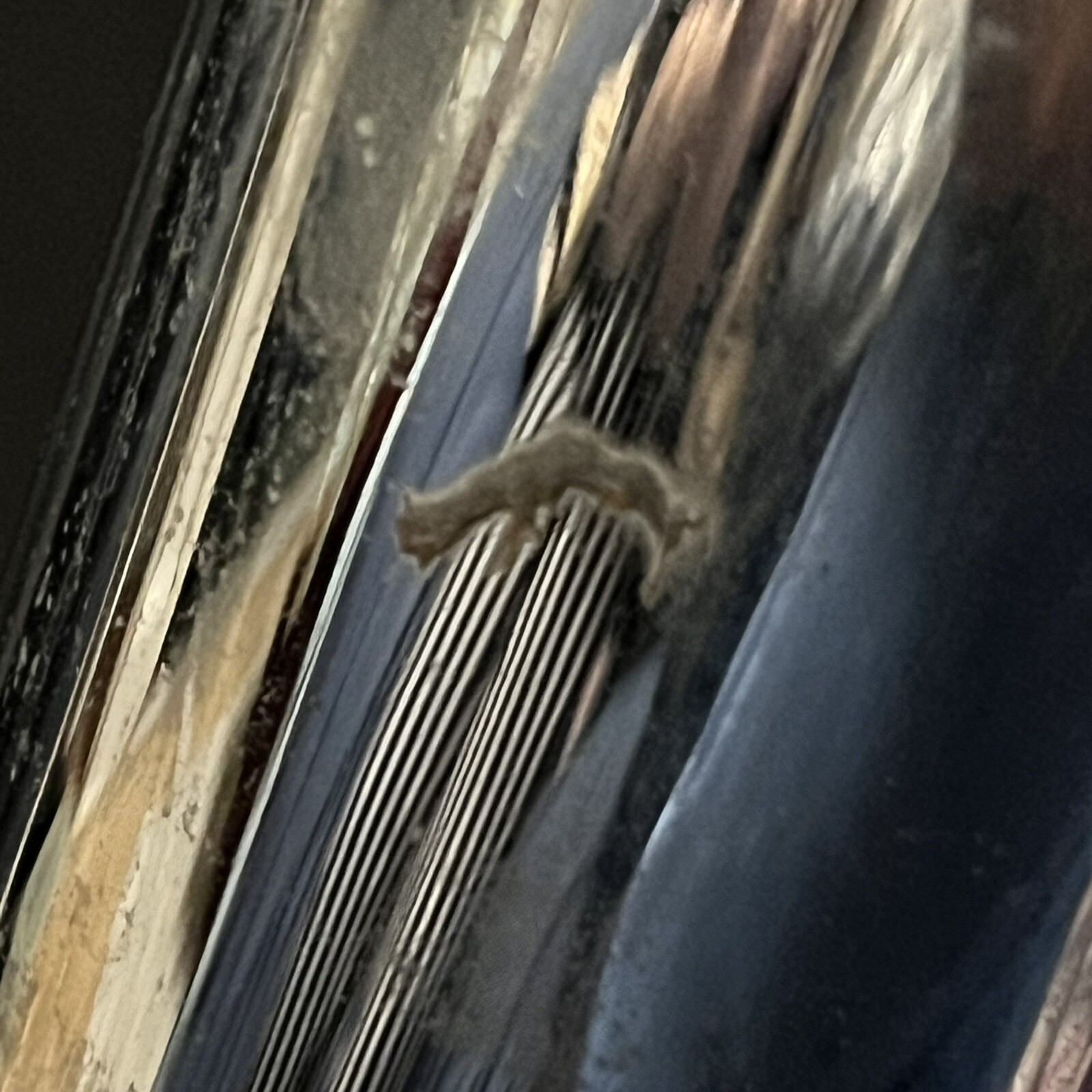 Foto 12 di 17