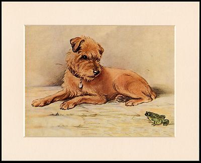 BORDER TERRIER UND KLEINER GRÜNER FROSCH CHARMANTER HUNDEDRUCK MONTIERT RAHMENFERTIG