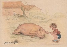 23/92 Ak - Bauernhof Cochon Einzeilbetreuung Bio ? - Feyl Berlin Pression Signer