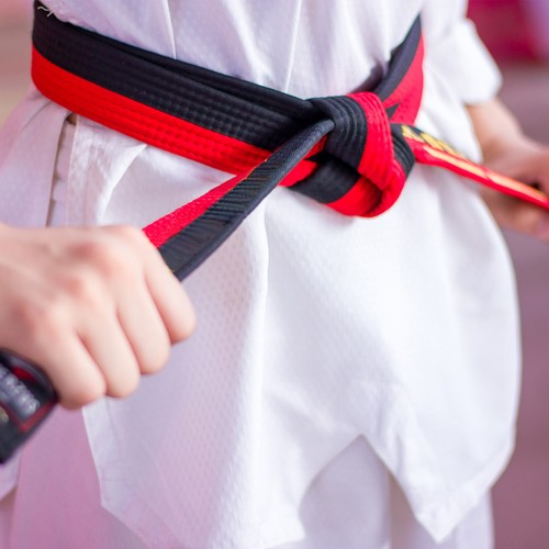 Taekwondo Gürtel Schwarz, 1.6 M Lang, Aus Polyester – Für Kampfsport Training