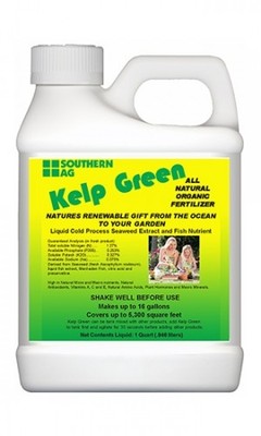 Kelp Green All natural Organic Fertilizer - Quart
