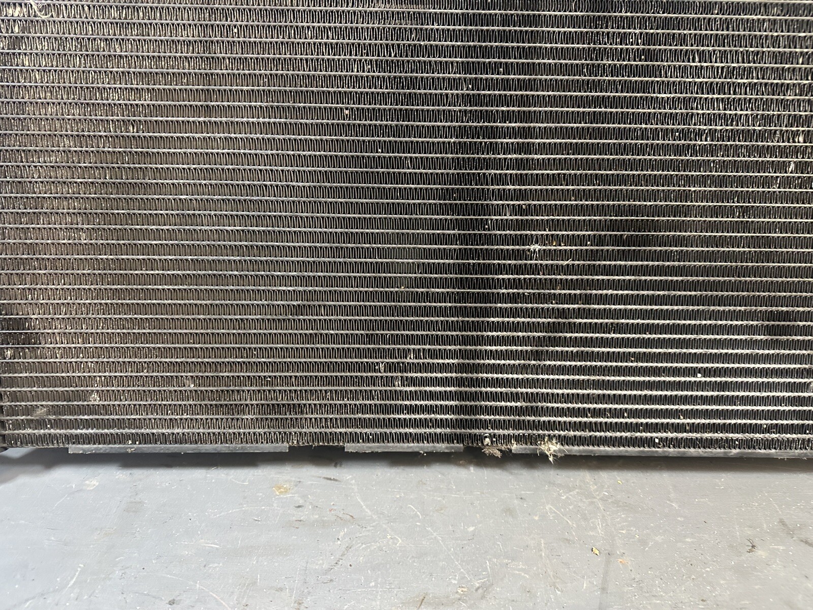 Picture 6 of 12