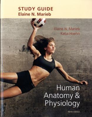 Study Guide for Human Anatomy and Physiology by Katja N. Hoehn and Elaine N....