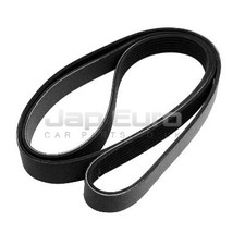 For Nissan X-Trail Primer Alt Fan,compressor & Power Steering Belt