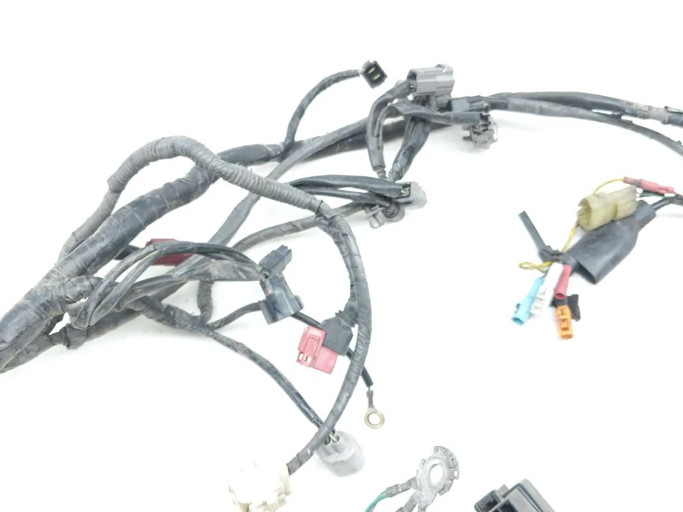 Telar arnés de cableado principal 10 Honda Fury VT1300 CX Foto 2 de 4