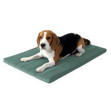 BALANCE Orthopedic Dog Crate Bed Pad Waterproof Washable Foam 36x23x1.6in Mint
