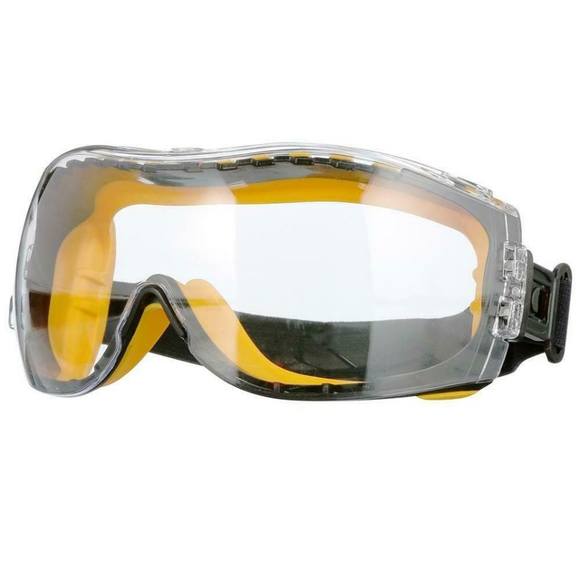 DEWALT DPG8211 Concealer Clear AntiFog Dual Mold Safety Goggle