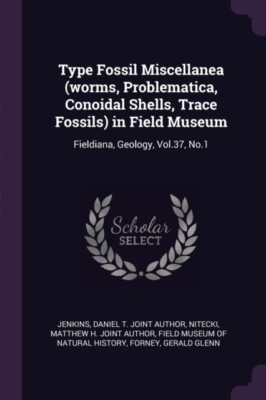 Jenkins - Type Fossil Miscellanea worms Problematica Conoidal Shell - X555z