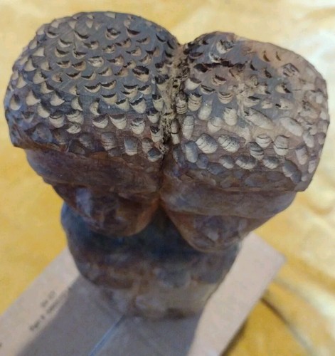 Jamaican Love Unity Totem Blue Mahoe Wood Carving By Eric Williams 13" Vintage  - Picture 9 of 16