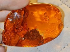 Riesiger Natur Bernstein Poliert Baltischer Amber 32 Gramm 7cm