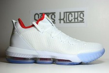 lebron 16 equality size 13