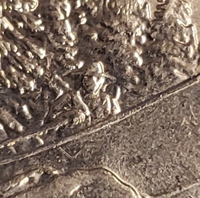 2019-D River Of No Return ''Masked Boater'' Die Chip Error-Raised Blodgett On Face