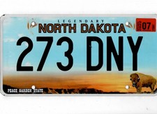 NORTH DAKOTA passenger 2022 license plate "273 DNY"