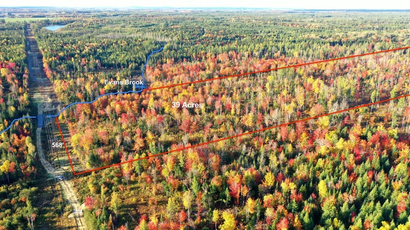 ***OWN 39 ACRES+/- OF LAND IN NORTHERN MAINE NEXT TO THE CANADIAN BORDER***