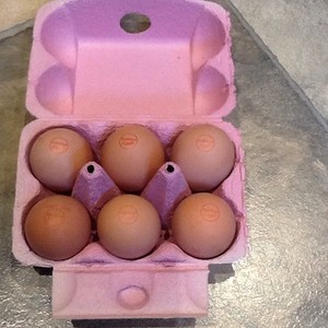 Stamped Rainbow Colored Egg Cartons - Silver Homestead
