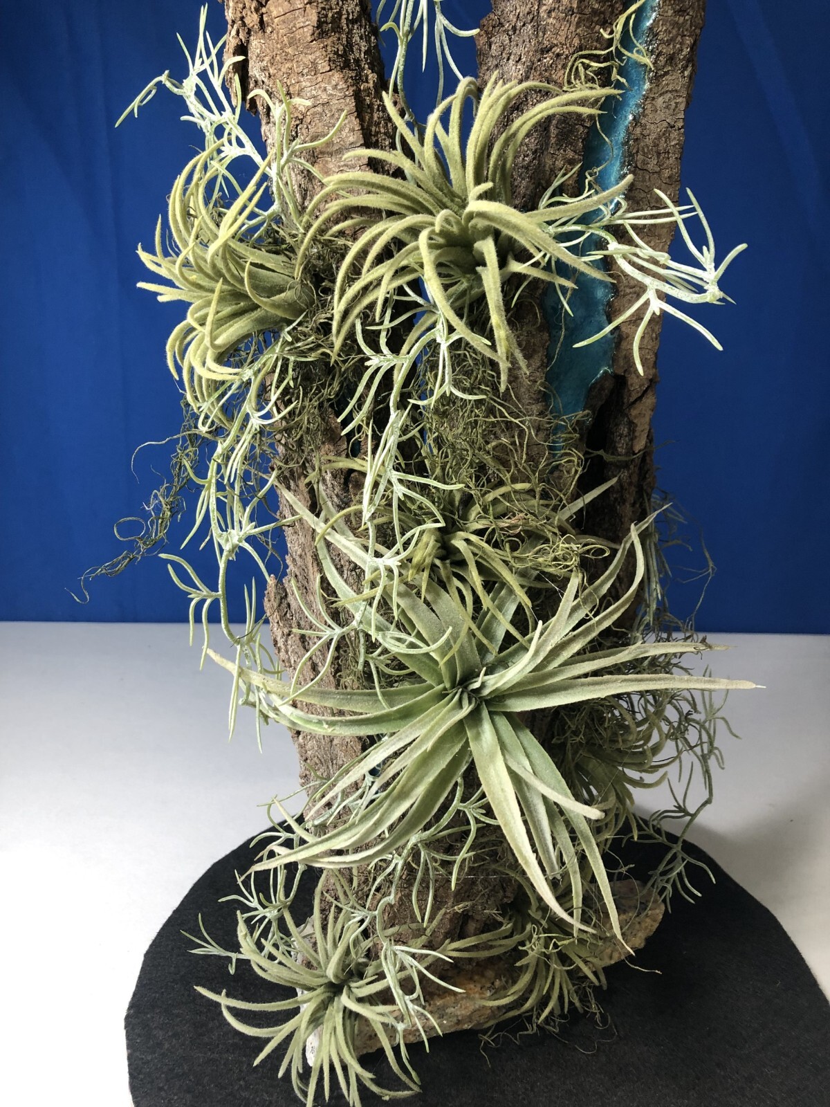 Picture 7 of 22
