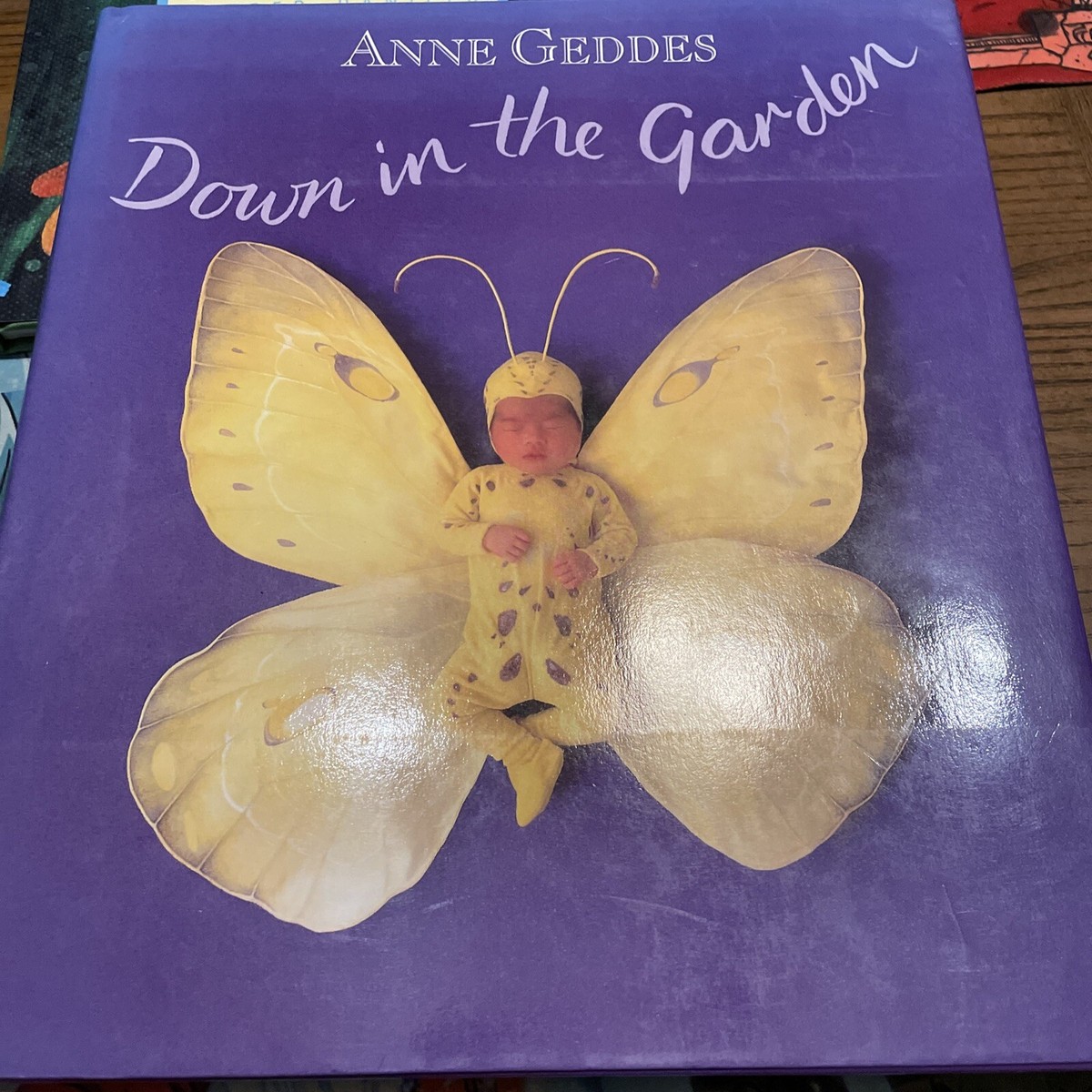 Anne Geddes Garden Collection Down in the Garden Photography Book
