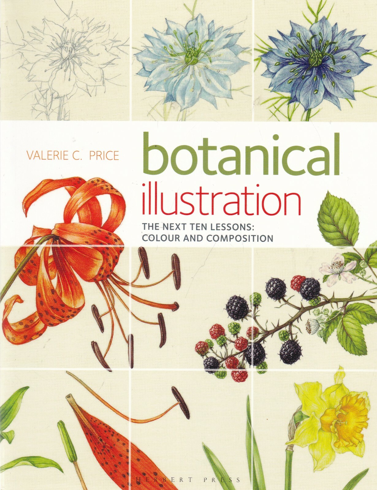 Botanical Illustration Colour and Composition Book by Valerie Price New Book