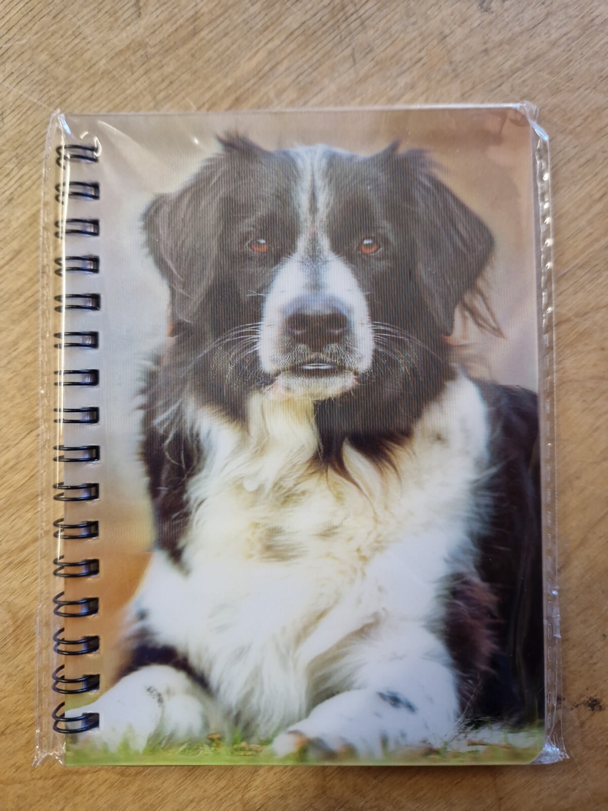 Border Collie notebook Border Collies Notebooks Dog Dogs sheepdog sheepdogs