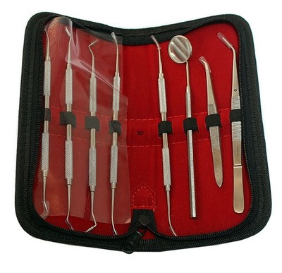 BDeals 8 Pc PK Thomas Plus Dental Instruments Set   Premium Stainless Steel Kit