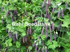 Bild 8 von 14