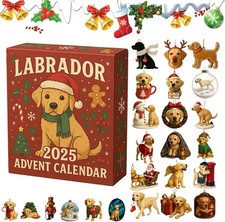 Labrador 2025 Christmas Advent Calendar 24-Day 3D Acrylic Pet Dog Decorations AU