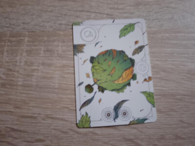 EVERGREEN, Promokarte, neu & unbenutzt!