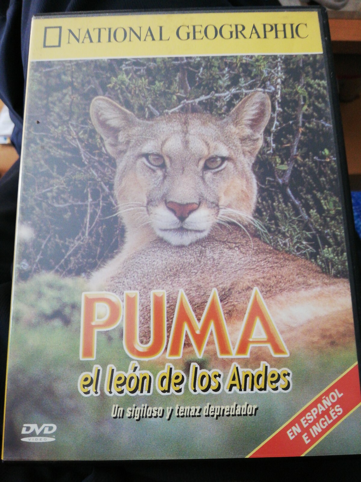 Imagen 1 de 4